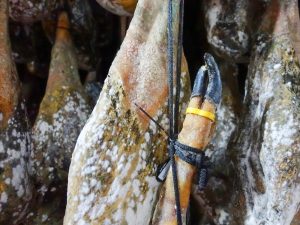 Pata de jamón en la fábrica de Joselito