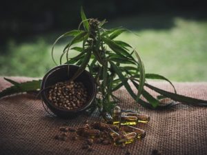 Aceite de cannabis en la cosmética