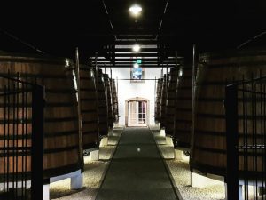Qué ver en Oporto bodega